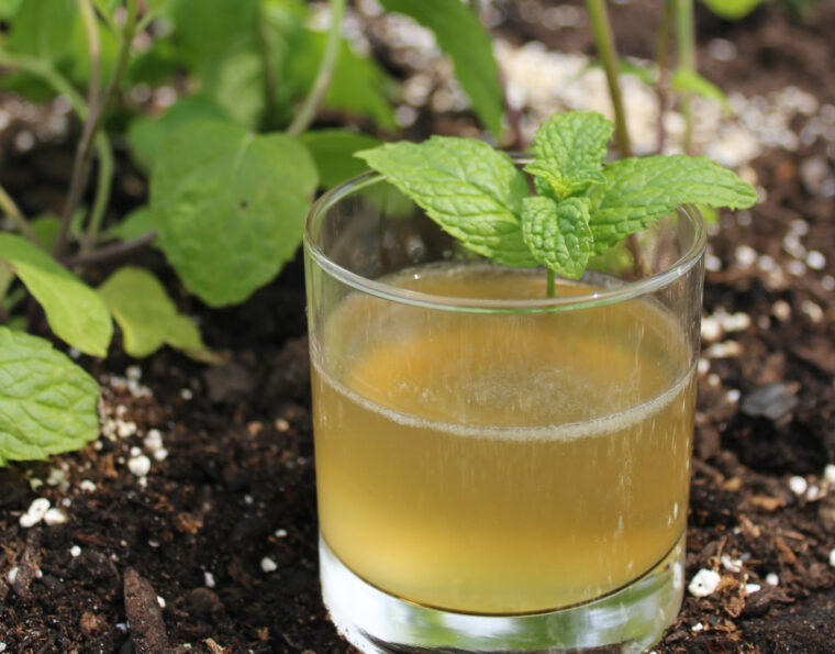 Memorial Day Beverage Pairing Guide