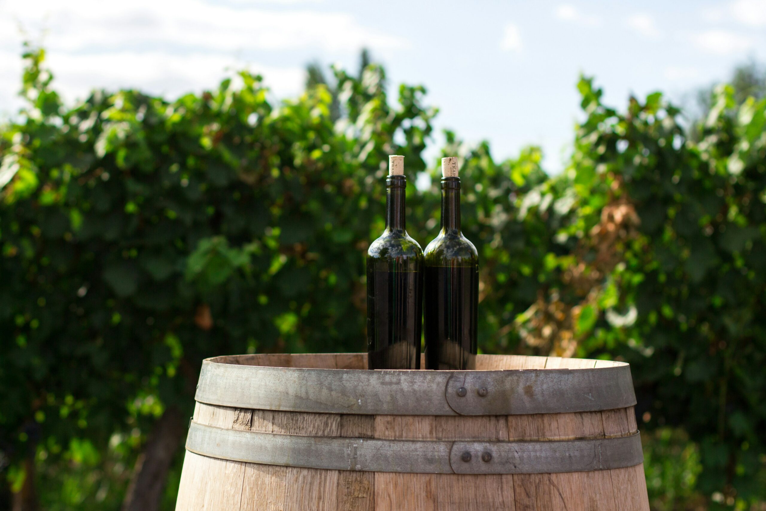 Barrel holding two wine bottles