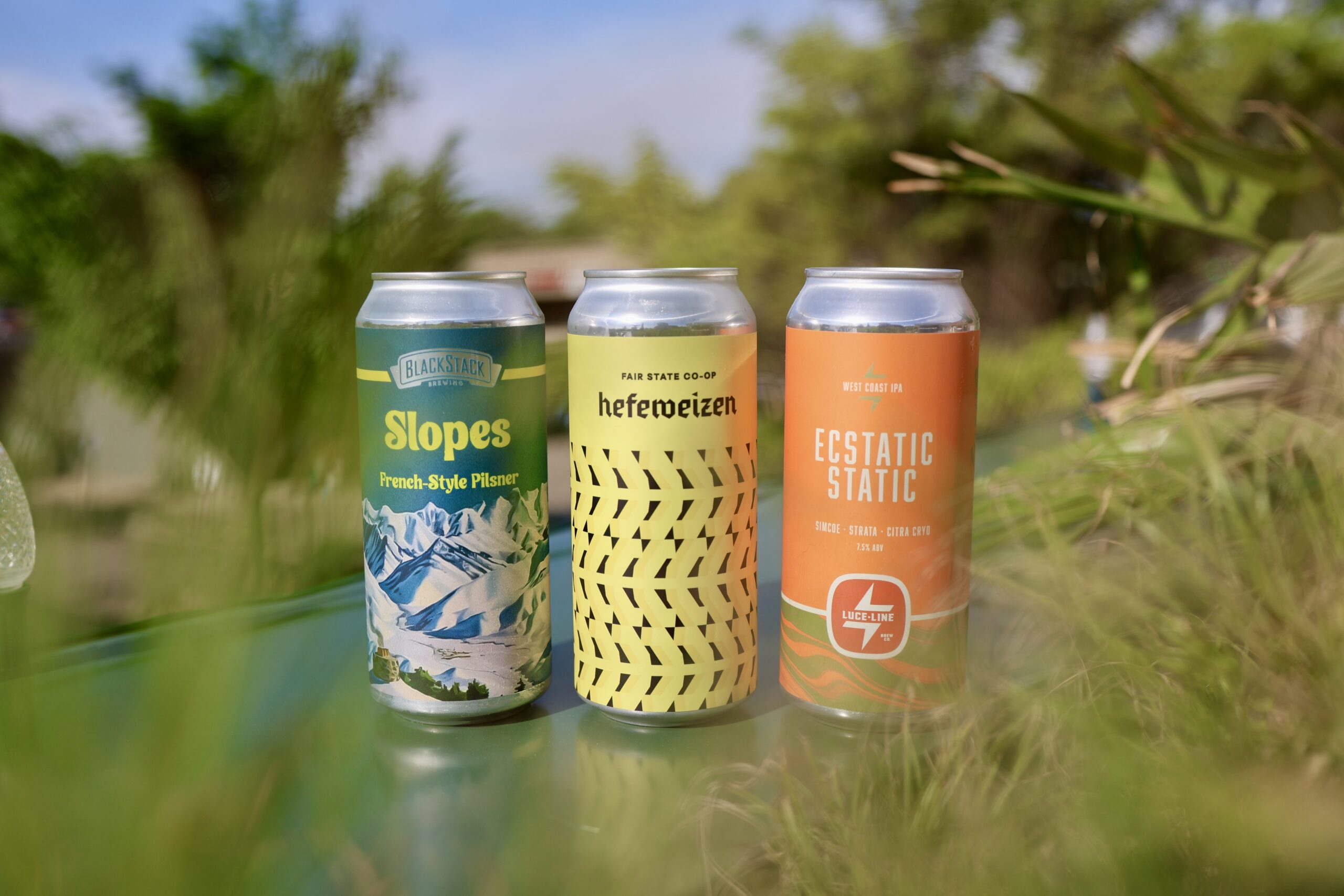 Three beer cans surrounded by greenery