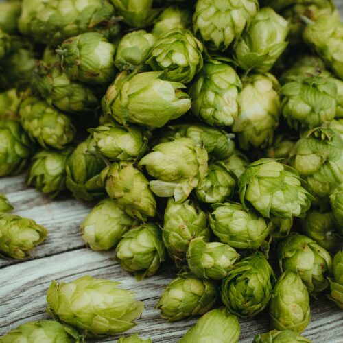 Hops