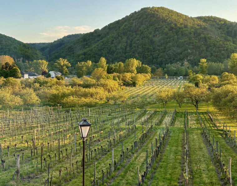 If You’re Into Farming and Fermentation, Wine Travel Might Just Be for You