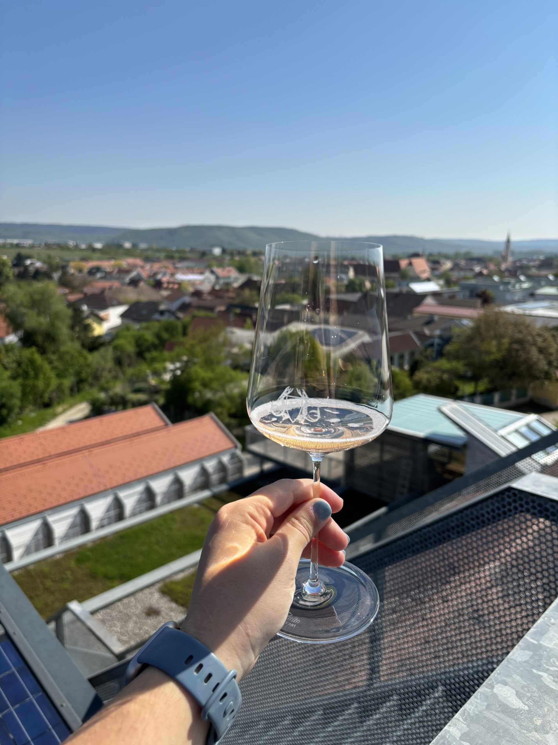 Glass of sparkling rosé over a vineyard and town