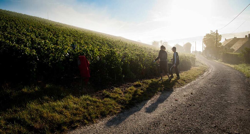 The Sparkling Wine Value of the Year