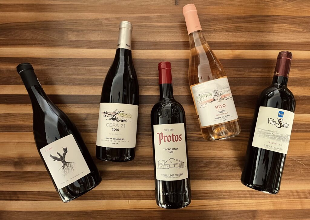 Exploring Ribera del Duero