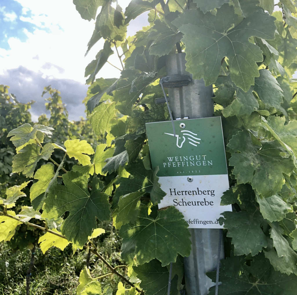 Wines for Spring