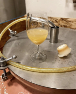 I'm For Amphora: A Guide to Amphora Wines