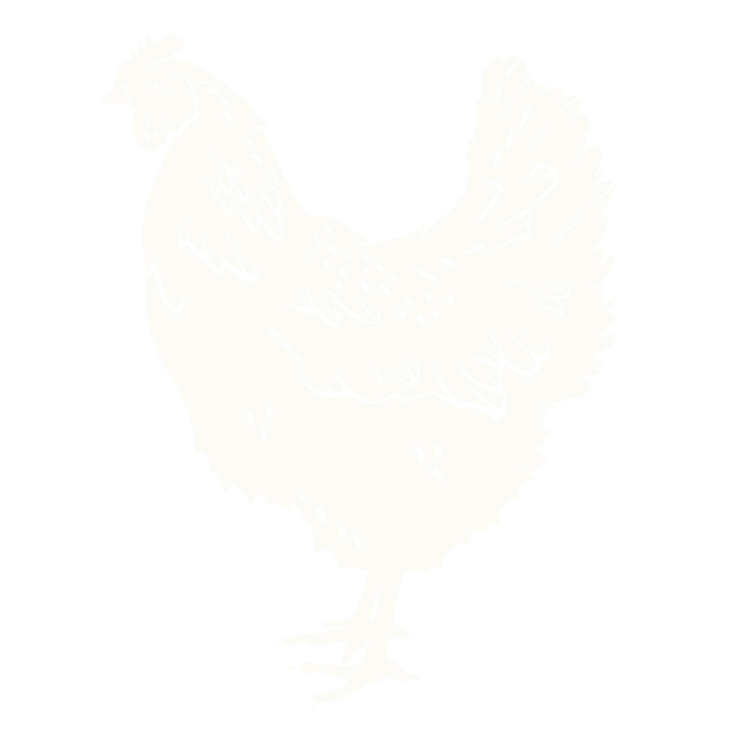 Chicken Icon