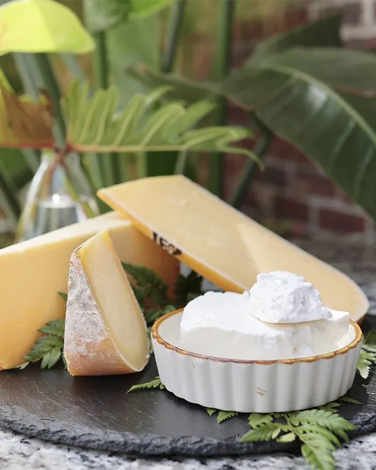 artisan cheeses