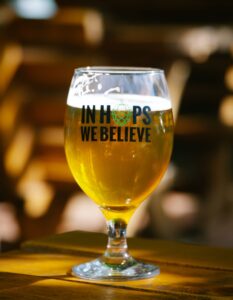 Hops: The Backbone of Beer