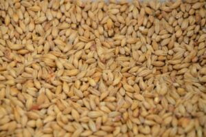 Malt in Beer: Back to the Roots