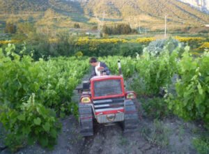 Drink When Chilled: Three Wines for Autumn Weather