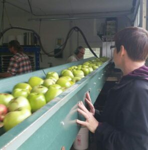 My Craft Cider Journey (or How I Learned to Stop Worrying About the Price and Embrace New Things)