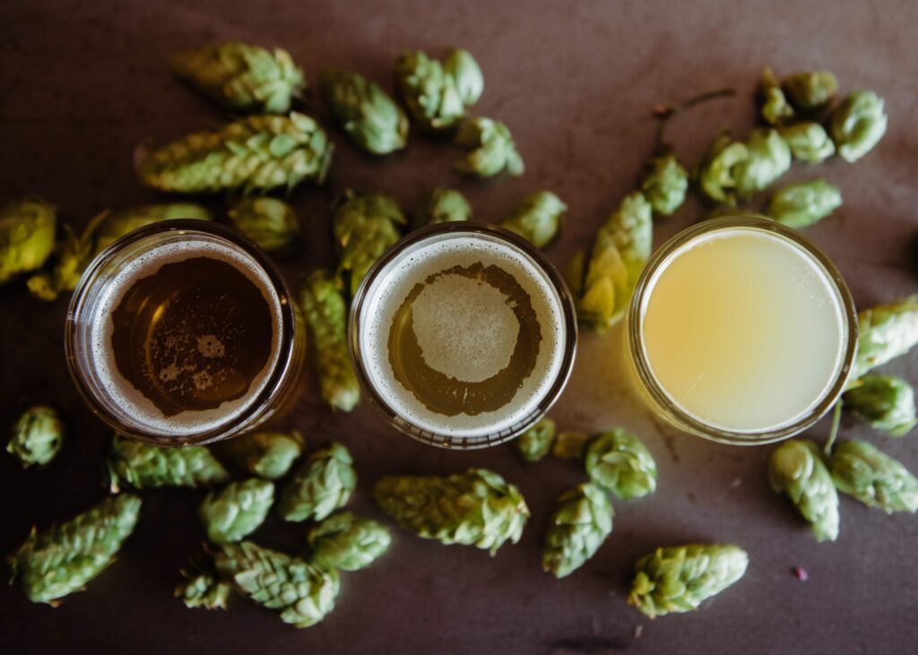 Hops: The Backbone of Beer