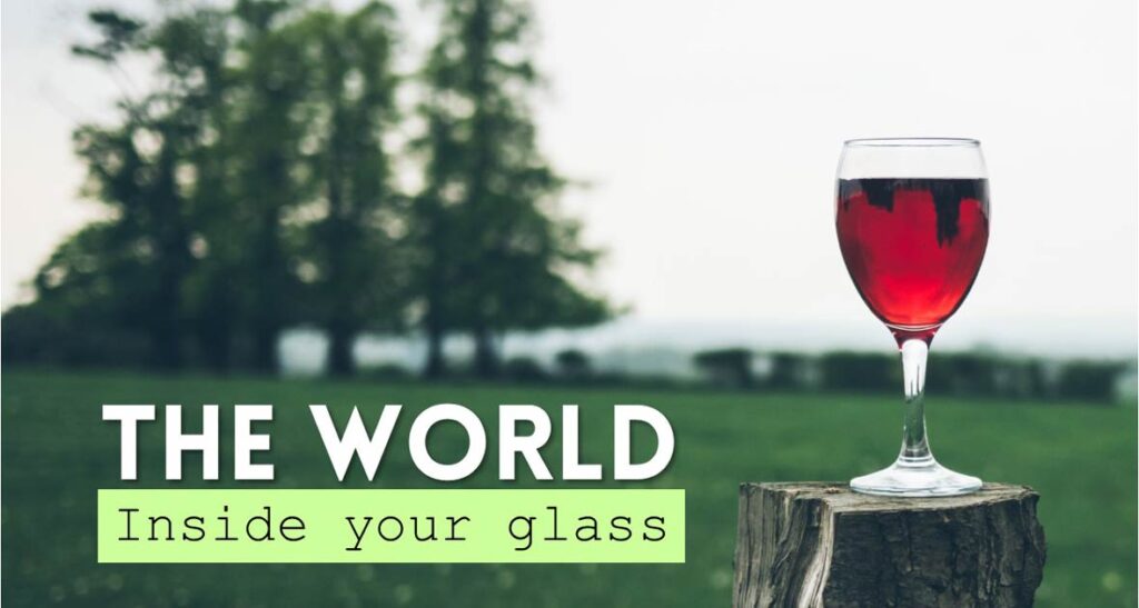 The World Inside Your Glass