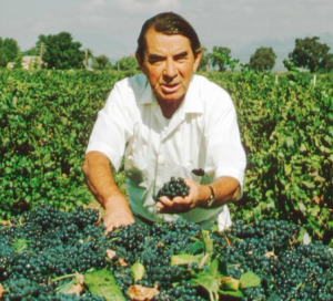 Wine Classes at TMORA
