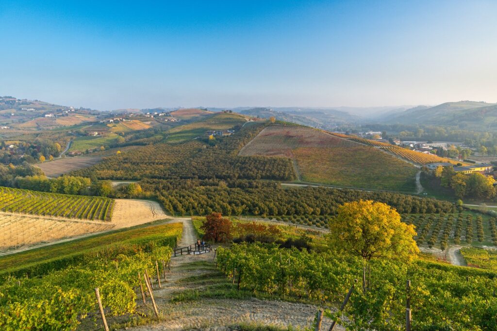 At the Foot of the Mountain: Piemonte's Nebbiolo