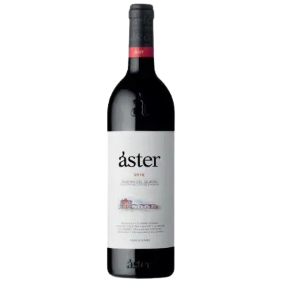 Ribera del Duero: A Journey Through Spain’s Tempranillo Heartland
