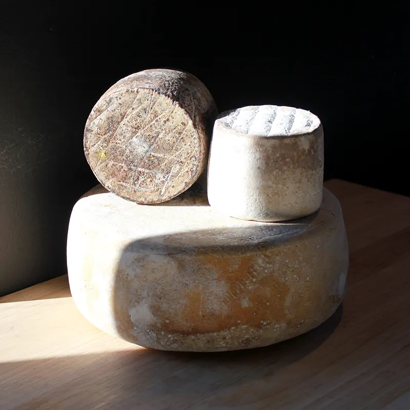 Basque tommes cheeses