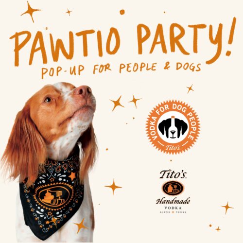 pawtio party graphic