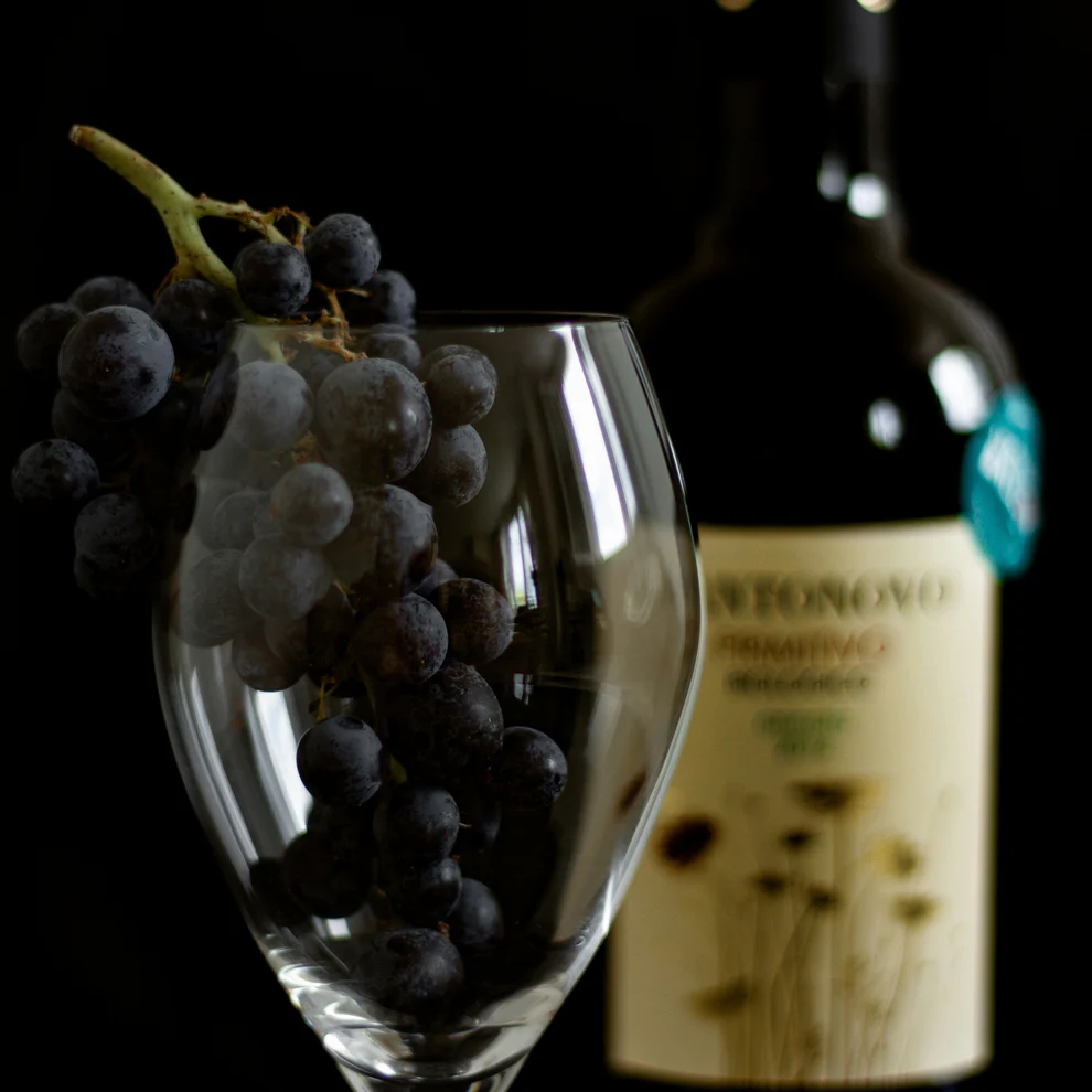 Wine glass filled with red grapes