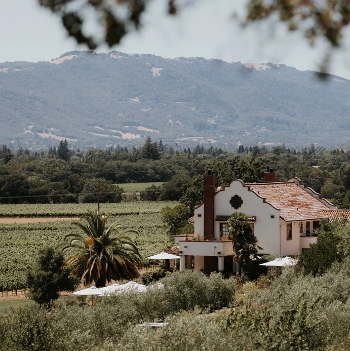 Napa Valley Vineyard