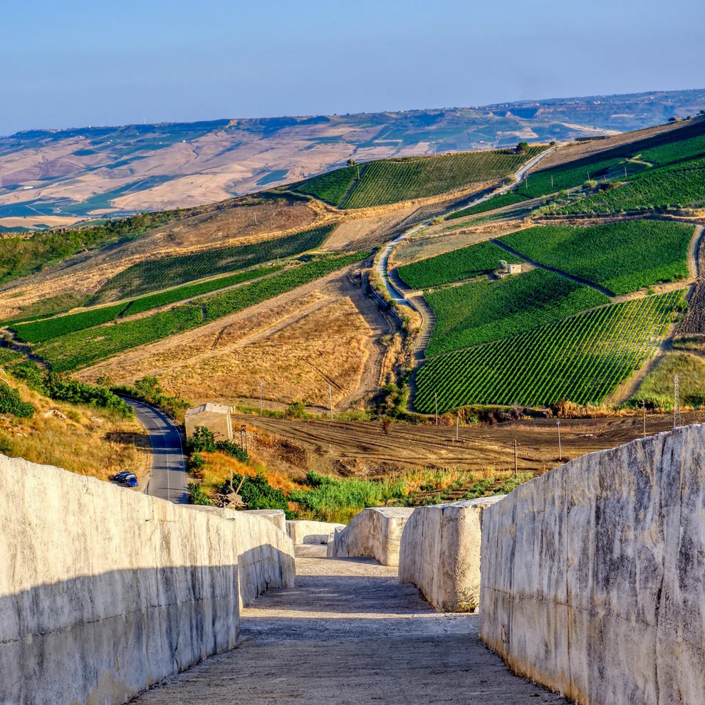 Vineyards in Southern Italy