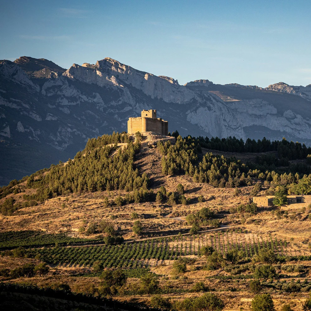 Vineyard in western Spain