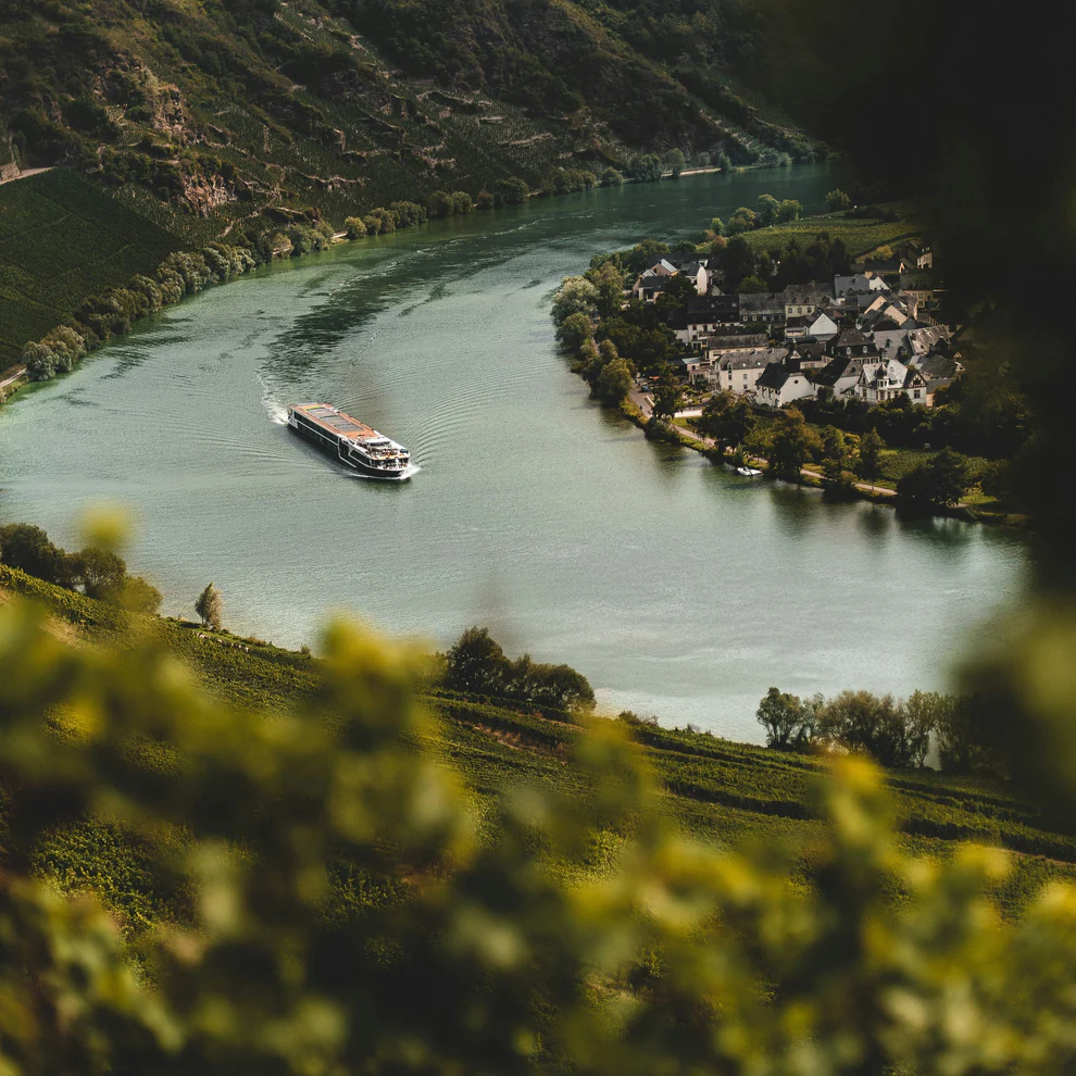 Vineyards Along the Danube river