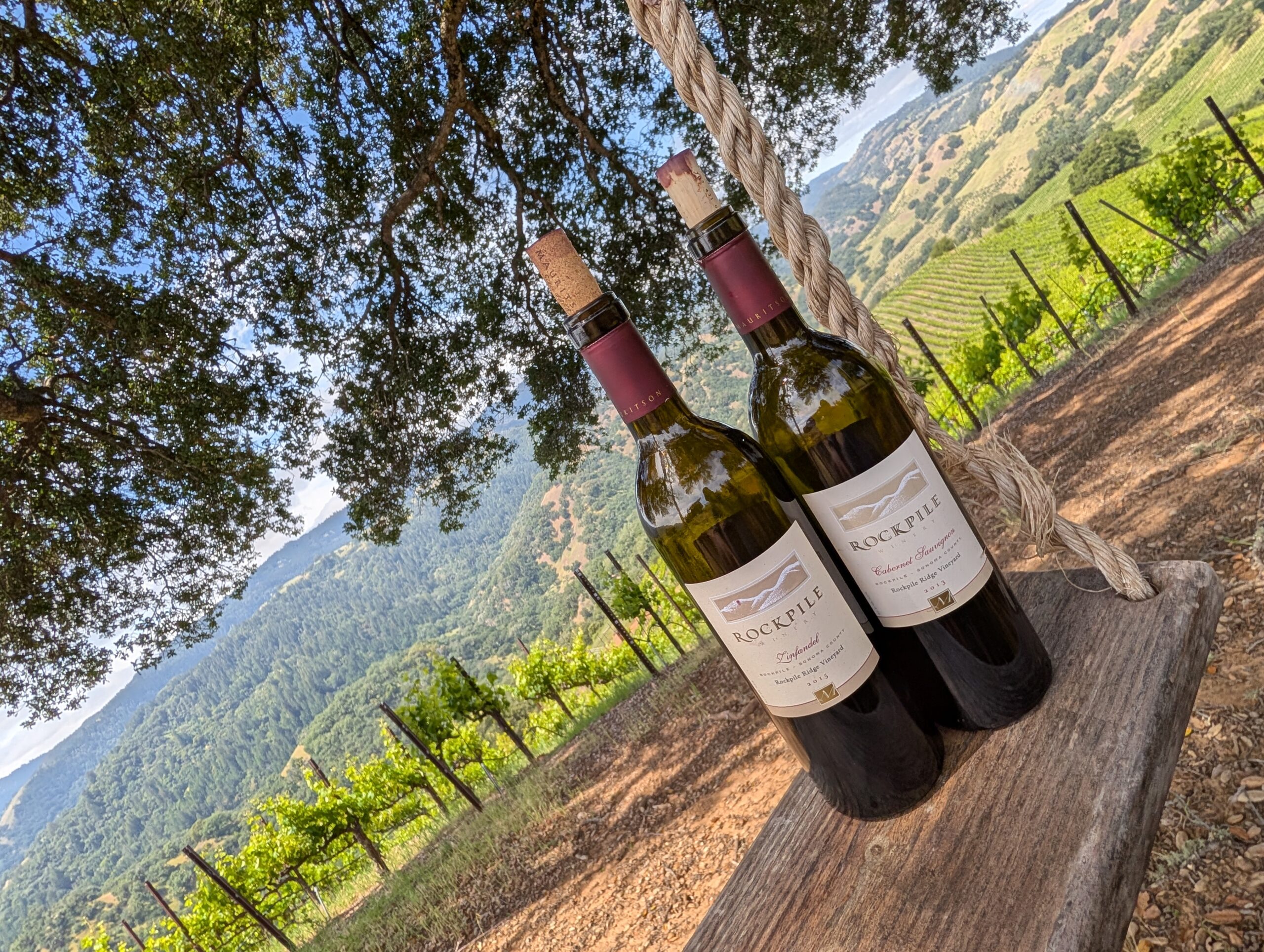 Two bottles of wine in front of a vineyard 