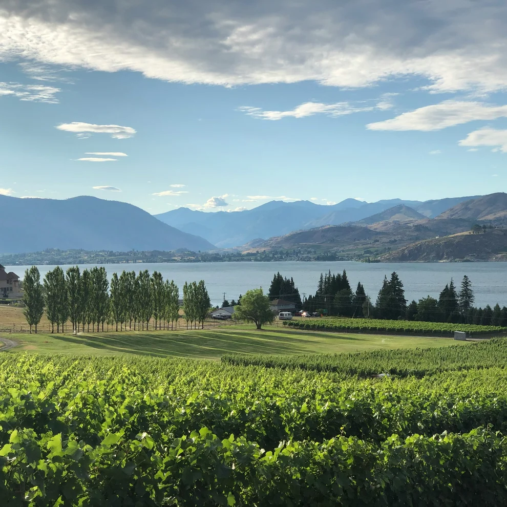 Pacific Northwest vineyard