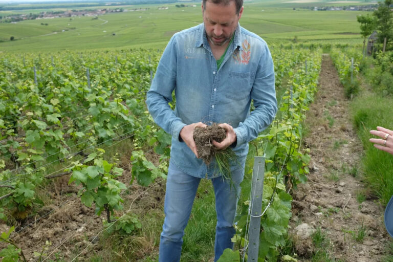 France 44