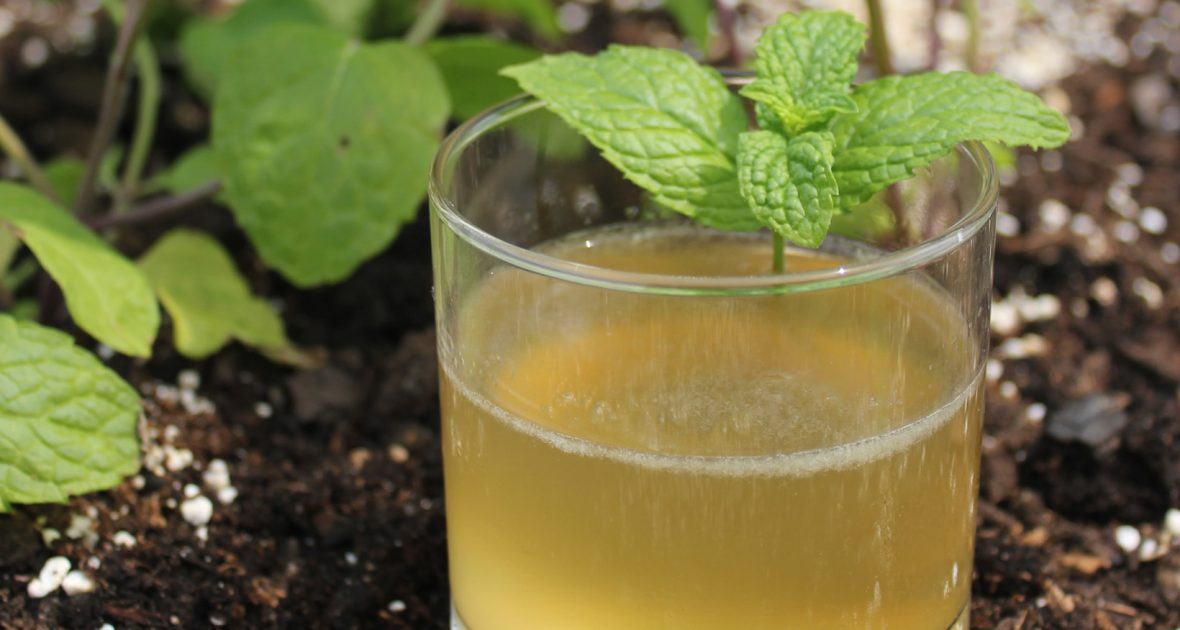 Peach Bourbon Cocktail garnished with mint sits in a garden bed